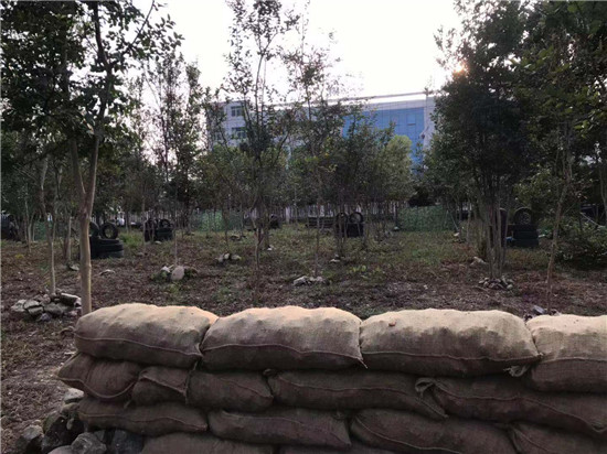 来凤附近好玩的地方