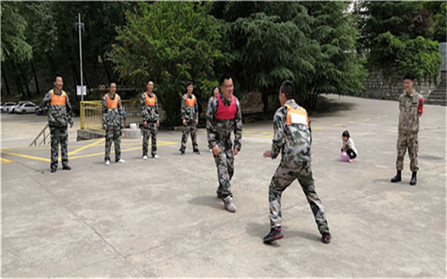 平凉真人cs拓展,平凉企业拓展训练,平凉拓展培训公司排名